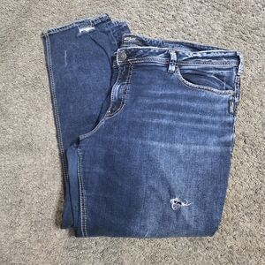 Silver Jeans Co. Blue Denim Jeans 24/27